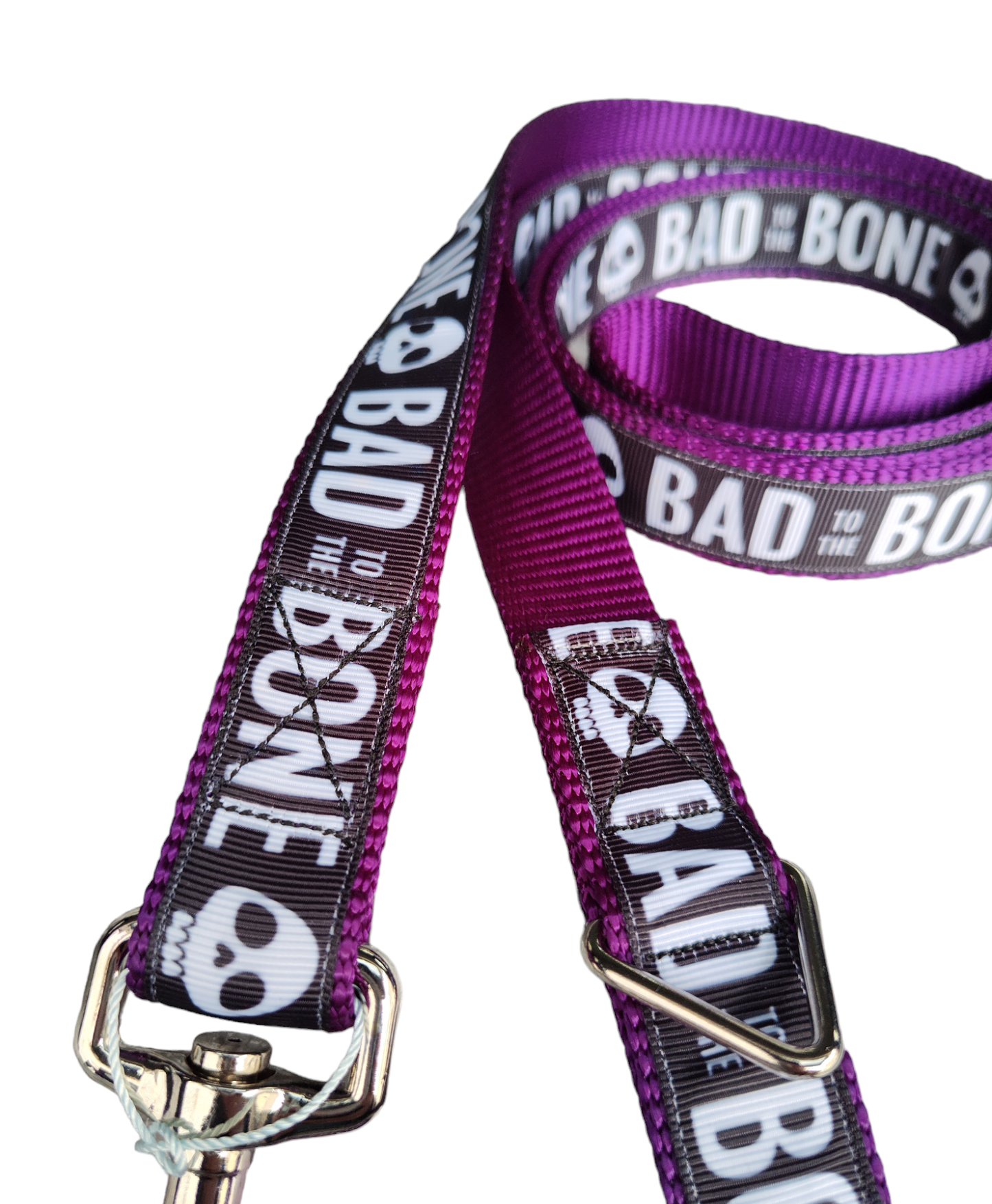 Bad To The Bone Purple Nylon Dog Collar MD, LG, XL, Leash | Purrfect Pet Kingdom