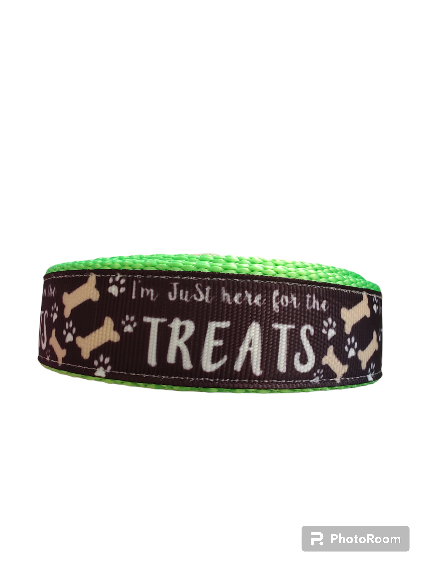 Here For The Treats Neon Green Nylon Dog Collar MD, LG, XL, Leash