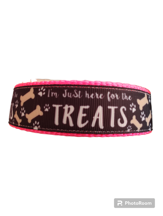 Dog Collar Here For The Treats Hot Pink Funny Novelty Nylon Strap