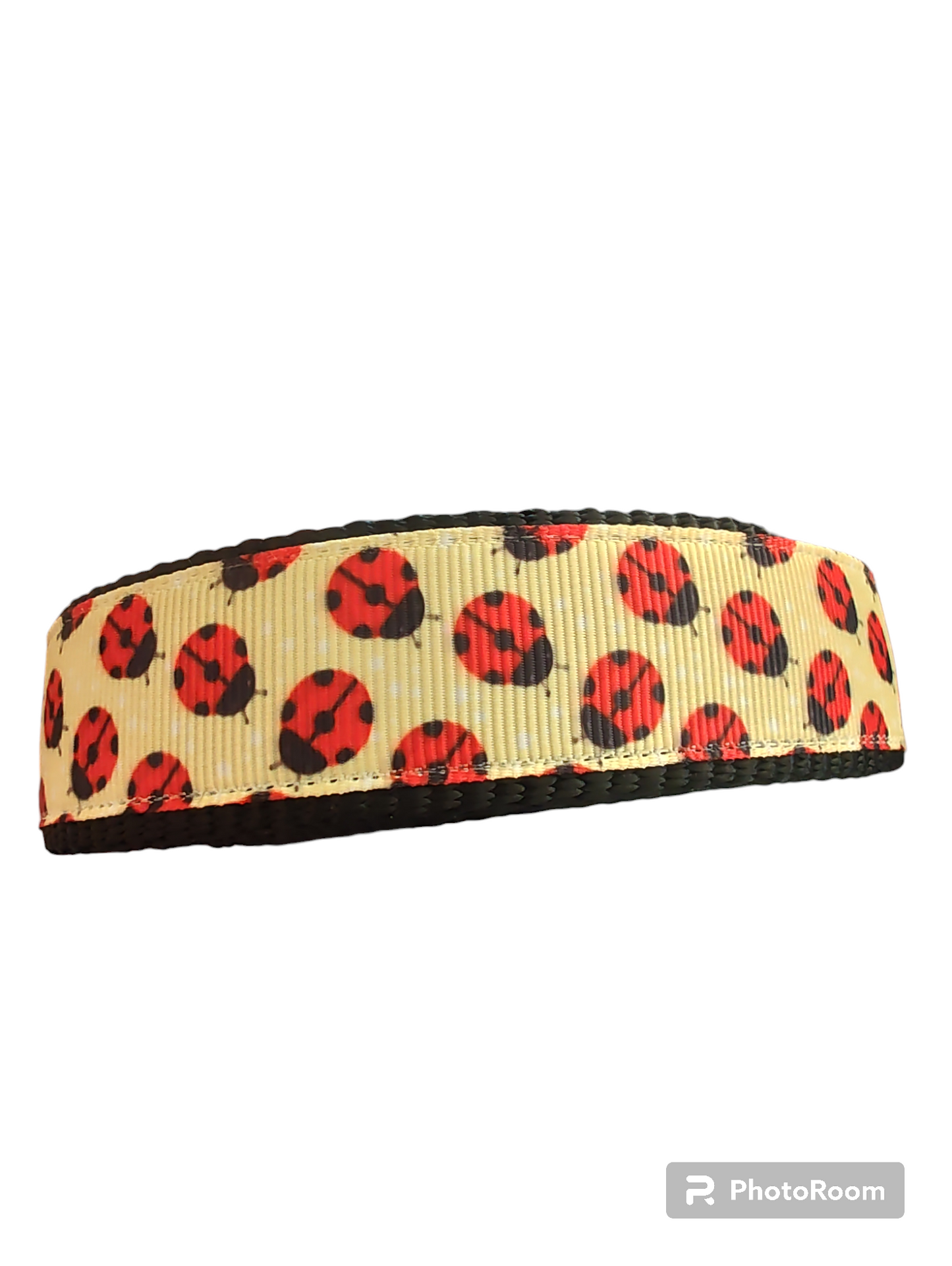 Yellow Ladybugs Black Nylon Dog Collar MD, LG, XL, Leash | Purrfect Pet Kingdom
