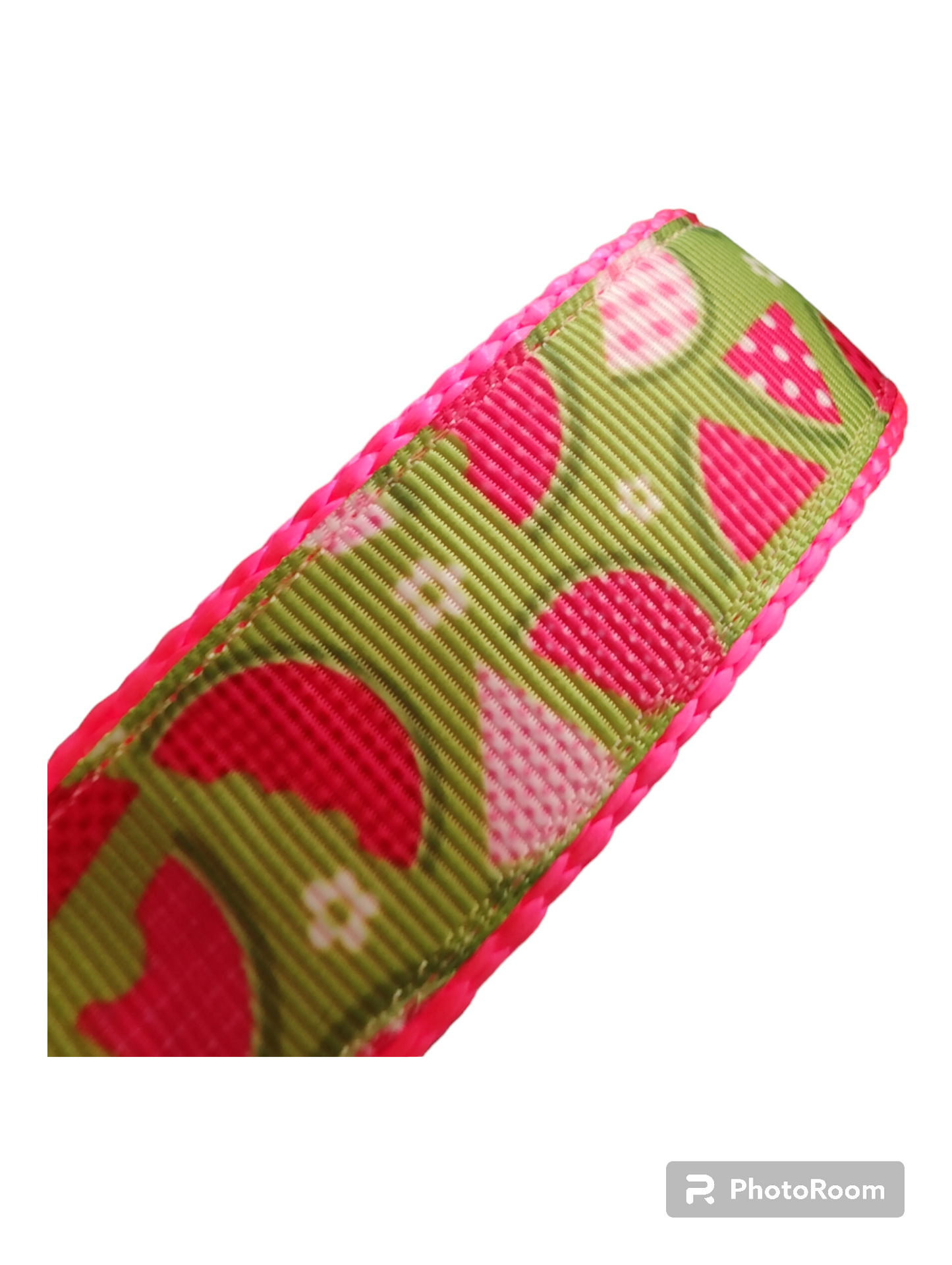 Watermelon Picnic Hot Pink Nylon Dog Collar MD, LG, XL, Leash | Purrfect Pet Kingdom