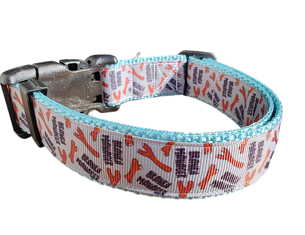 Branch Manager Light Blue Nylon Dog Collar MD, LG, XL, Leash, Martingale