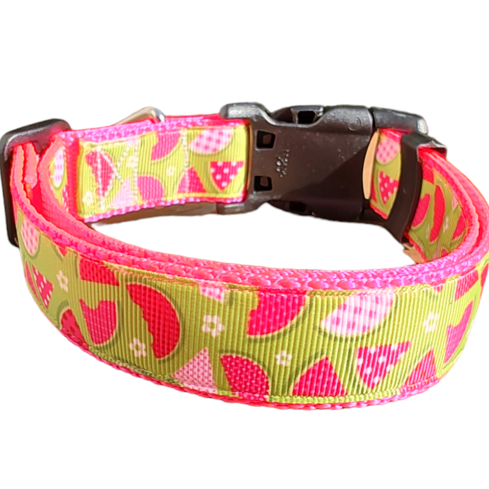 Watermelon Picnic Hot Pink Nylon Dog Collar MD, LG, XL, Leash | Purrfect Pet Kingdom