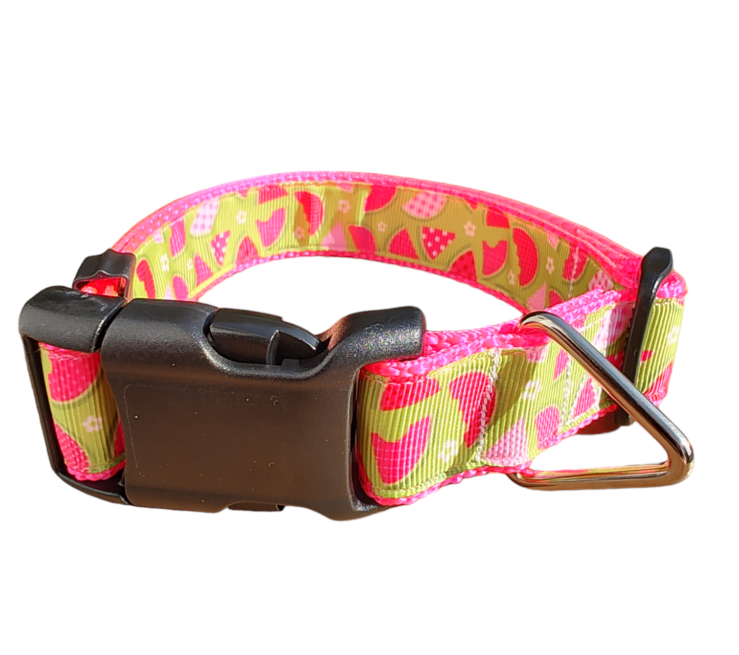 Watermelon Picnic Hot Pink Nylon Dog Collar MD, LG, XL, Leash | Purrfect Pet Kingdom