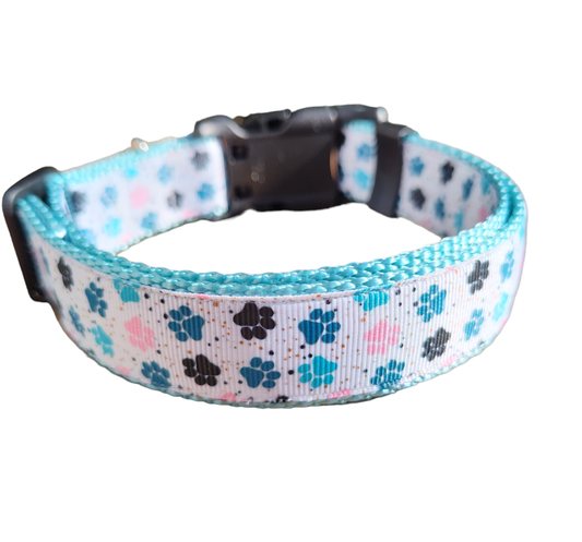 Paw prints Light Blue Nylon Dog Collar MD, LG, XL, Leash | Purrfect Pet Kingdom