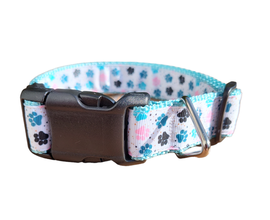 Paw prints Light Blue Nylon Dog Collar MD, LG, XL, Leash | Purrfect Pet Kingdom