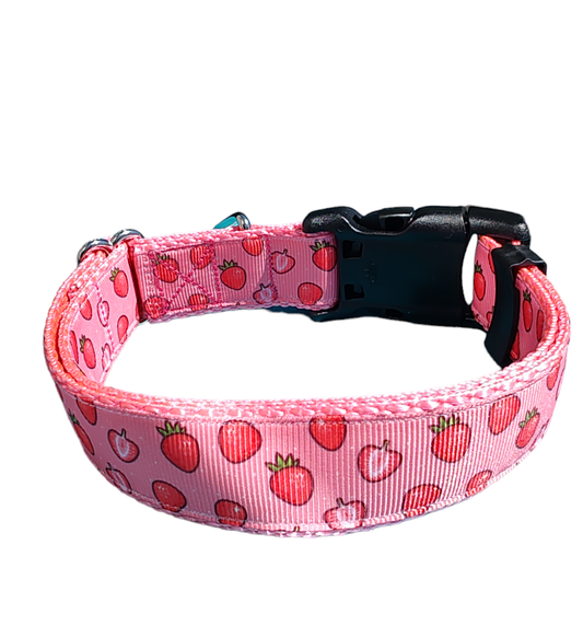 Strawberry Slice Pink Nylon Dog Collar MD, LG, XL, Leash | Purrfect Pet Kingdom