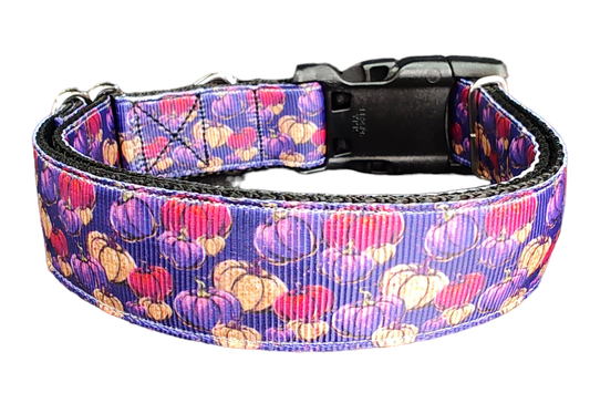 Halloween Purple Pumpkin Patch Nylon Dog Collar | Purrfect Pet Kingdom