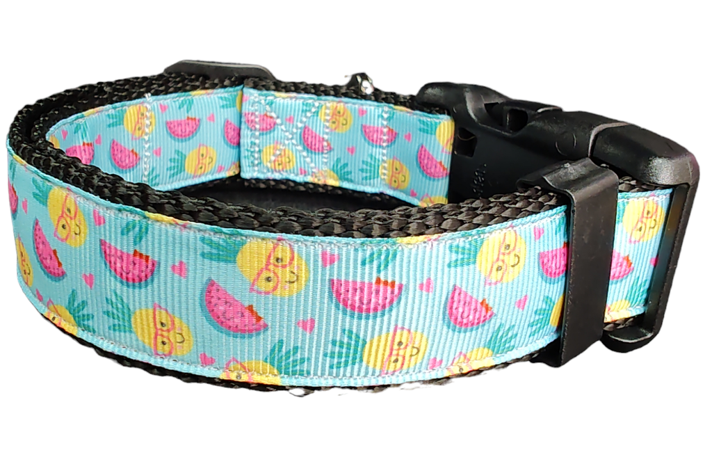 Fruit Party Nylon Dog Collar | Purrfect Pet Kingdom
