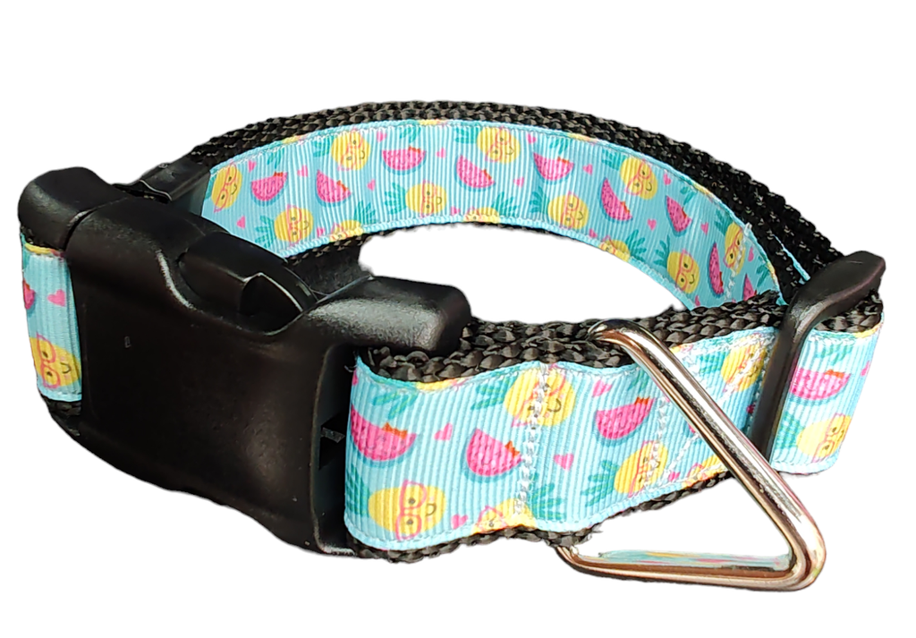 Fruit Party Nylon Dog Collar | Purrfect Pet Kingdom
