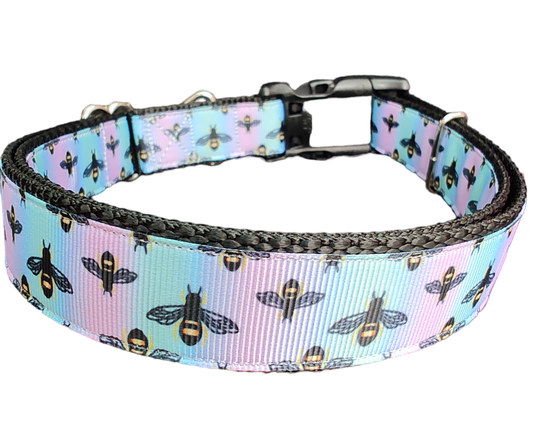 Rainbow Bees Nylon Dog Collar | Purrfect Pet Kingdom