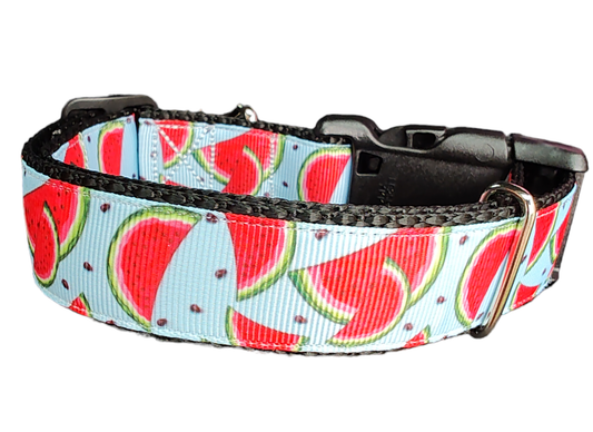 Watermelon Slices Nylon Dog Collar | Purrfect Pet Kingdom