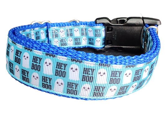 Halloween Hey BOO! Nylon Dog Collar | Purrfect Pet Kingdom