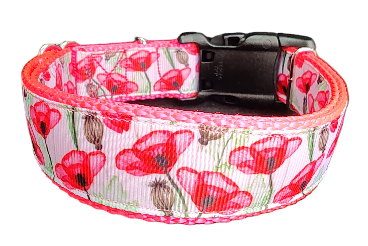 Poppies Nylon Dog Collar | Purrfect Pet Kingdom