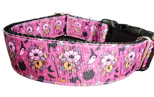 Halloween Floral Witch Nylon Dog Collar | Purrfect Pet Kingdom