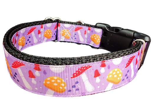 Mushrooms Nylon Dog Collar | Purrfect Pet Kingdom