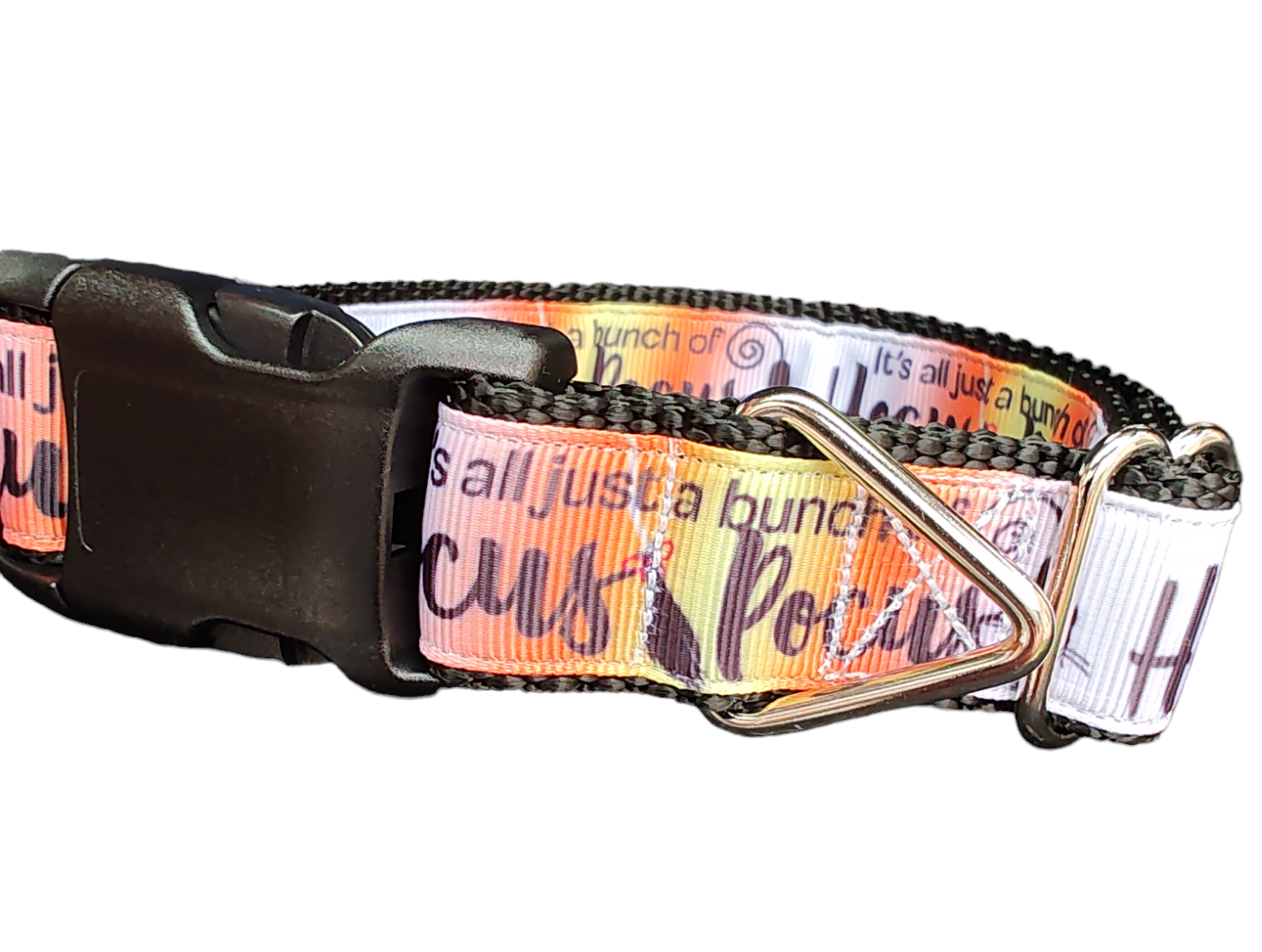 Halloween Hocus Pocus Nylon Dog Collar | Purrfect Pet Kingdom