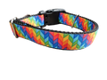 Rainbow Rays Nylon Dog Collar