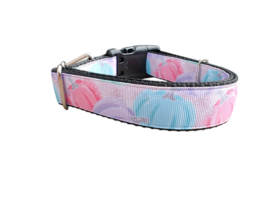 Pastel Pumpkins Nylon Dog Collar | Purrfect Pet Kingdom