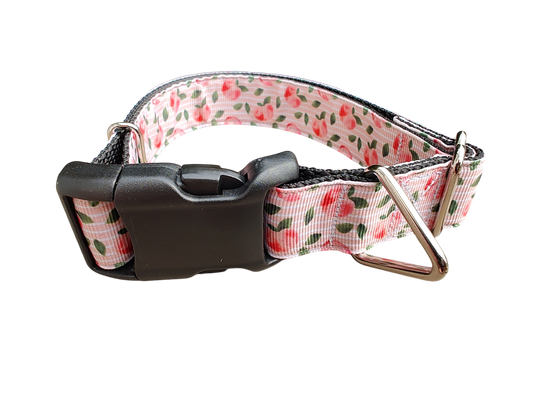 Peach Nylon Dog Collar | Purrfect Pet Kingdom
