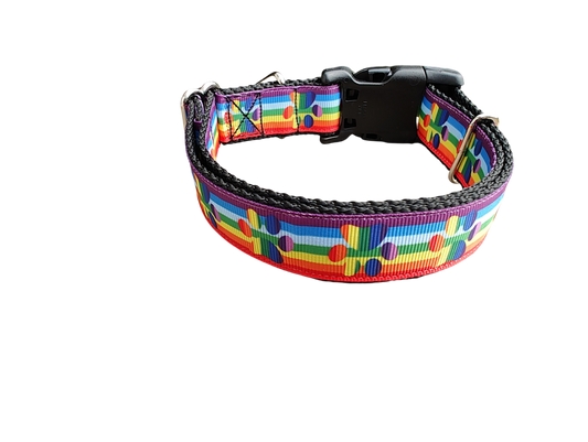 Rainbow Pride Paws Nylon Dog Collar | Purrfect Pet Kingdom