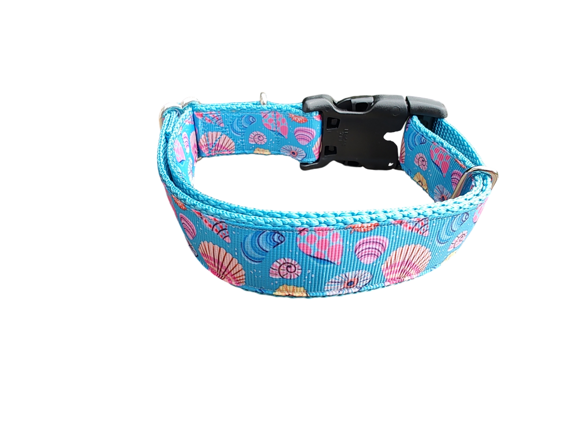 Seashells Nylon Dog Collar | Purrfect Pet Kingdom
