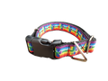 Rainbow Pride Paws Nylon Dog Collar
