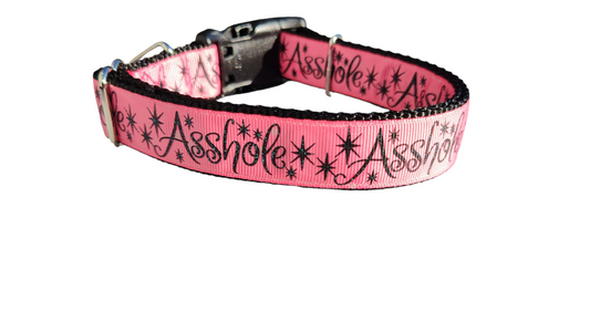 Asshole Pink Glitter Nylon Dog Collar | Purrfect Pet Kingdom