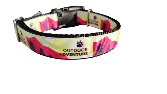 Outdoor Adventure Nylon Dog Collar | Purrfect Pet Kingdom