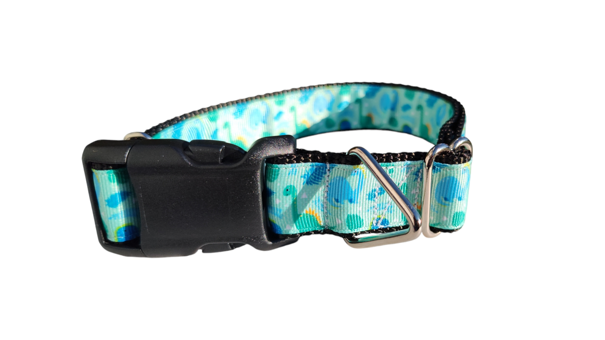 Brachiosaurus Dinosaur Nylon Dog Collar | Purrfect Pet Kingdom