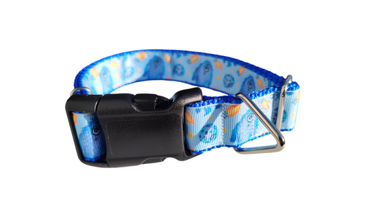 Monsters In Space Nylon Dog Collar | Purrfect Pet Kingdom