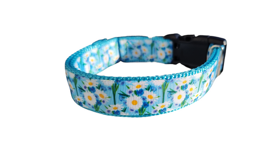 White Daisies Nylon Dog Collar | Purrfect Pet Kingdom