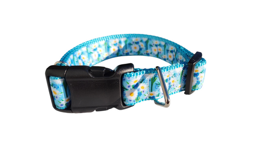 White Daisies Nylon Dog Collar | Purrfect Pet Kingdom