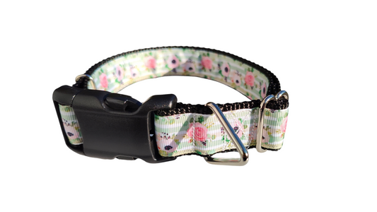 Flowers on Mint Stripes Nylon Dog Collar | Purrfect Pet Kingdom