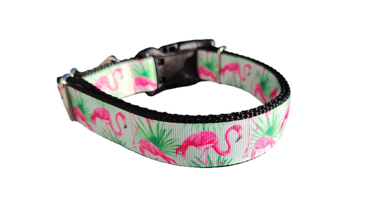 Mint Flamingo Nylon Dog Collar | Purrfect Pet Kingdom