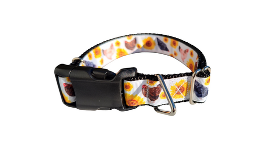 Chickens and Sunflowers Nylon Dog Collar | Purrfect Pet Kingdom