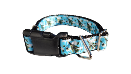 Camouflage Airplanes Nylon Dog Collar | Purrfect Pet Kingdom