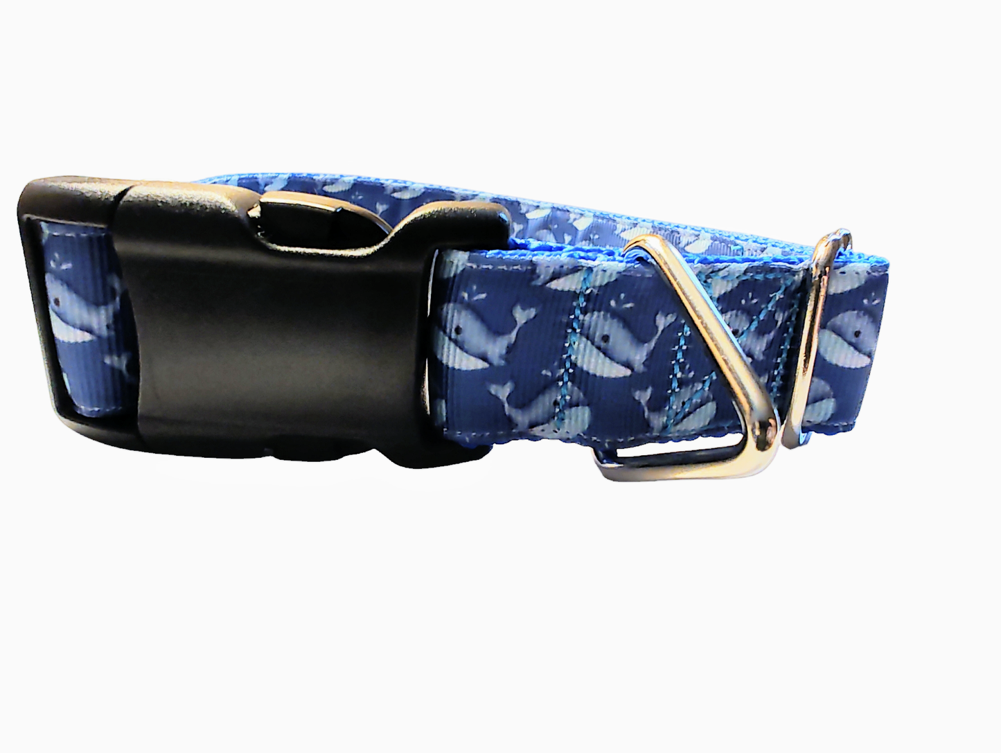 Whale Nylon Dog Collar | Purrfect Pet Kingdom