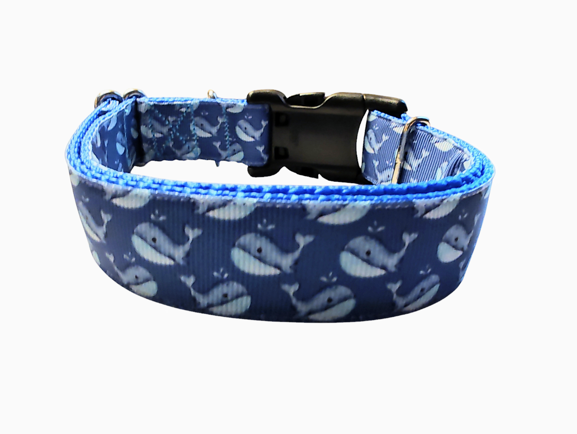 Whale Nylon Dog Collar | Purrfect Pet Kingdom