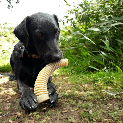 Pet Supply Product | The Finest Market