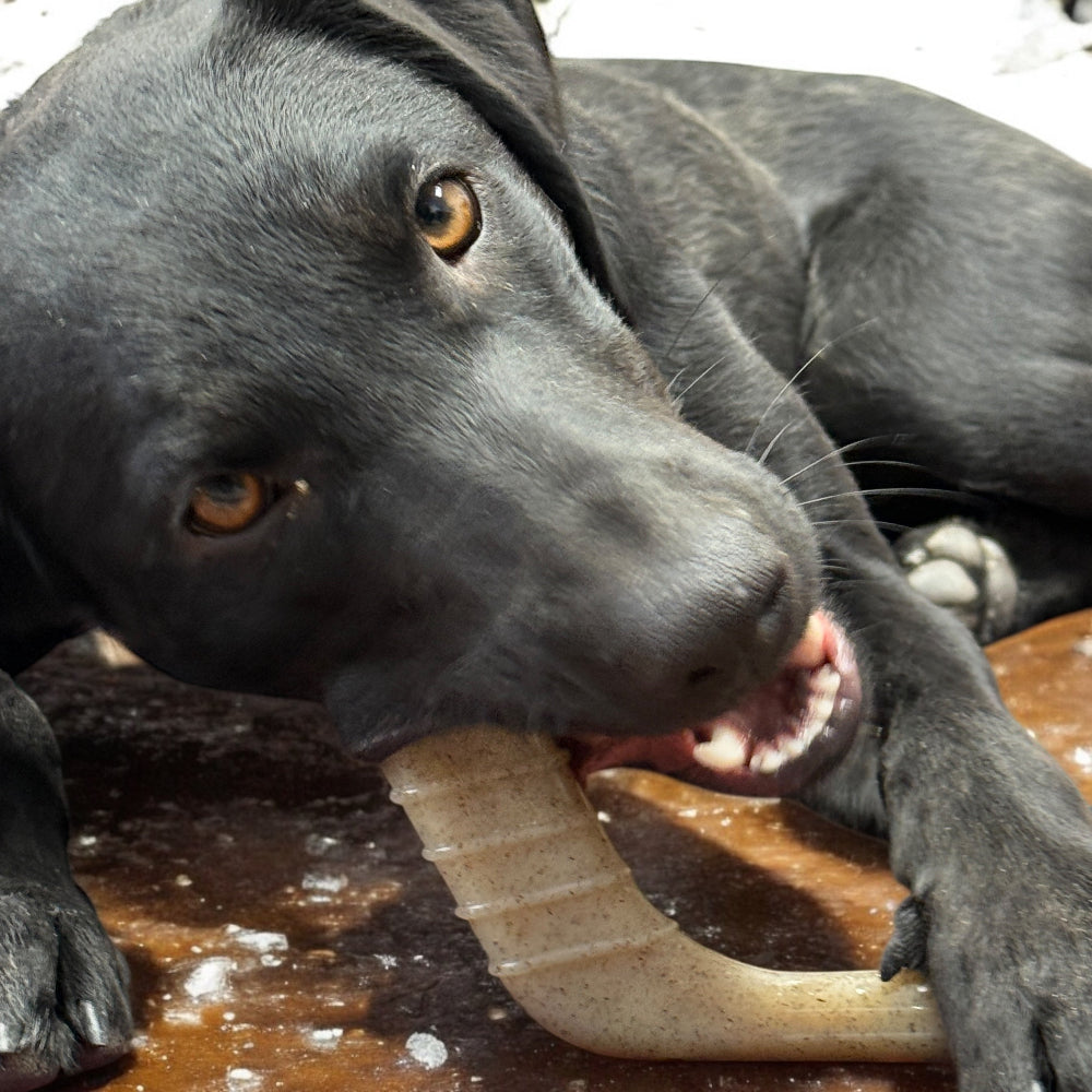Pet Supply Product | The Finest Market