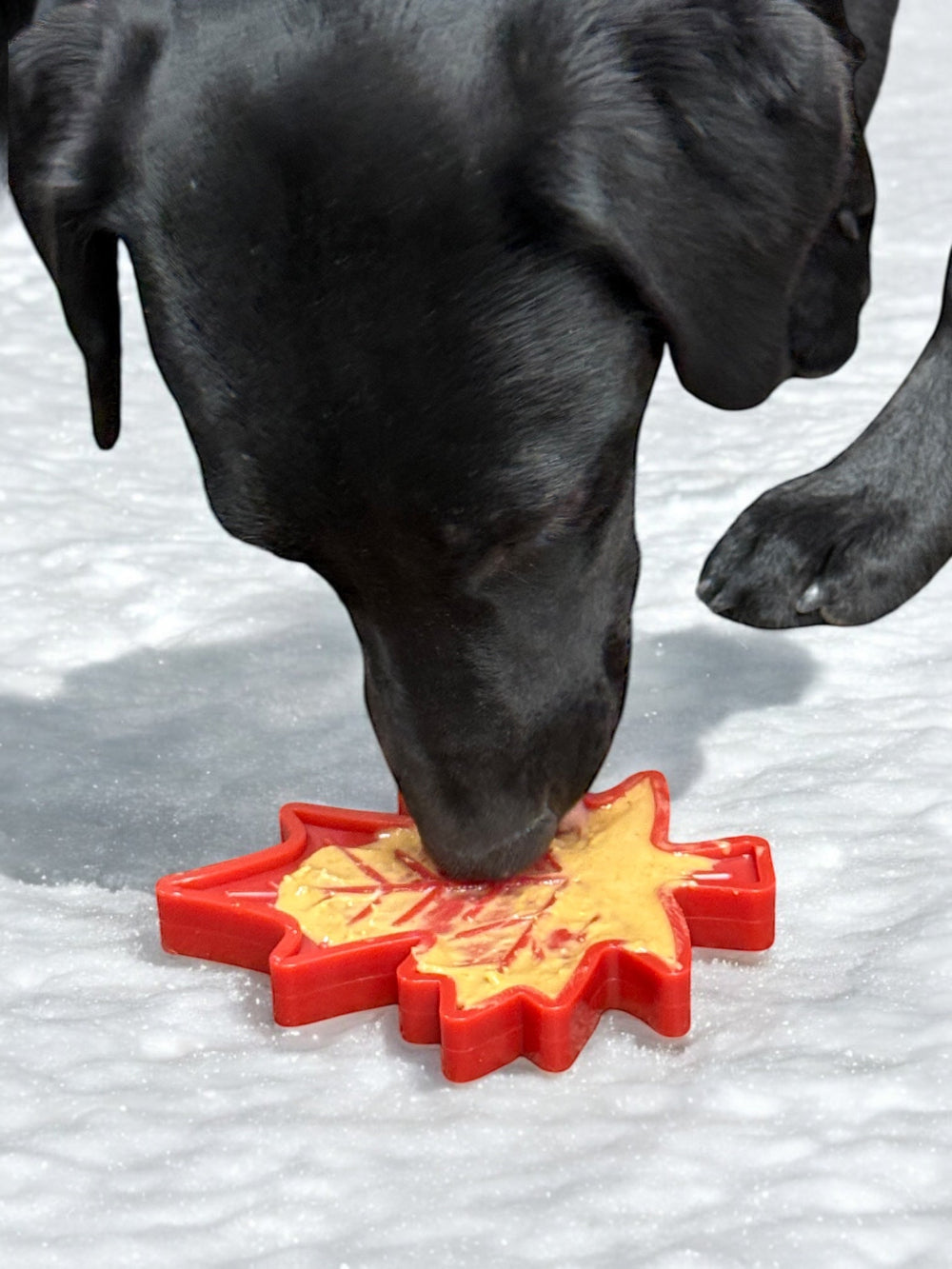 Pet Supply Product | The Finest Market