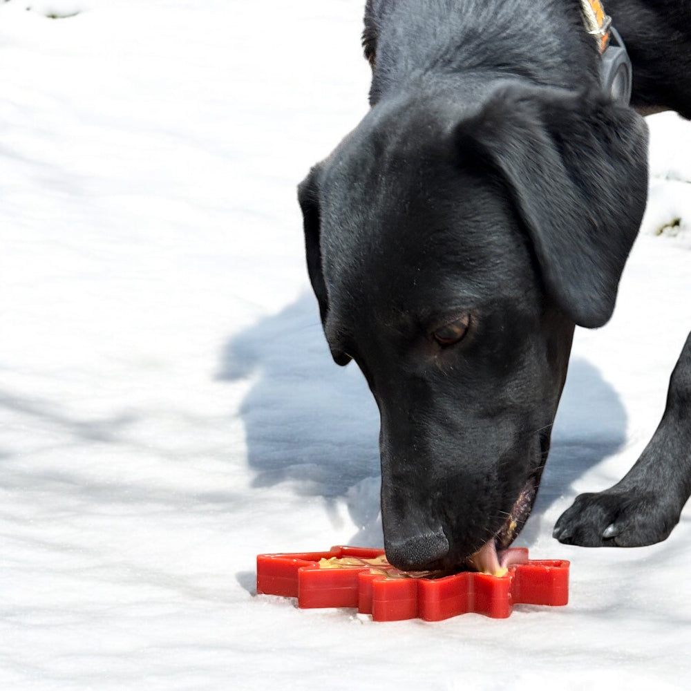 Pet Supply Product | The Finest Market