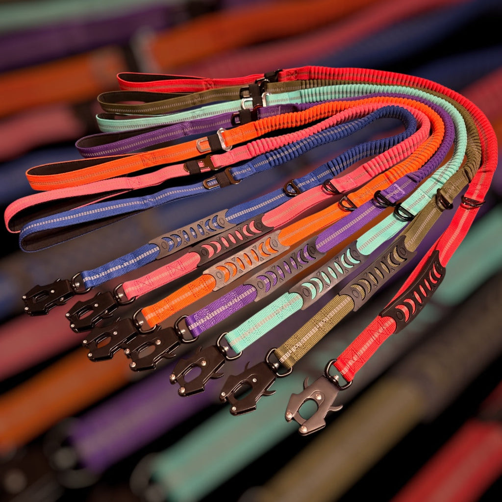 Heavy Duty Quick-Release Bungee Leash (Absorbs Pulls) Ergonomic | Majestic Pet Kingdom™