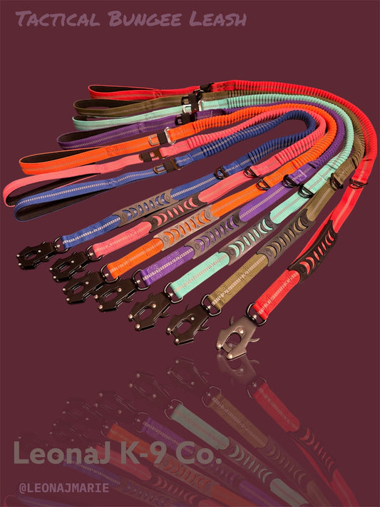 Heavy Duty Quick-Release Bungee Leash (Absorbs Pulls) | Purrfect Pet Kingdom