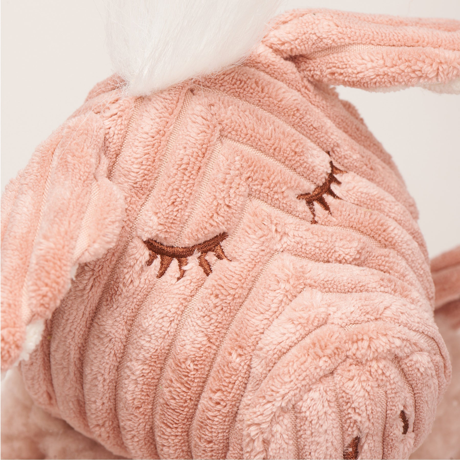 Pet Supply Product | The Finest Market