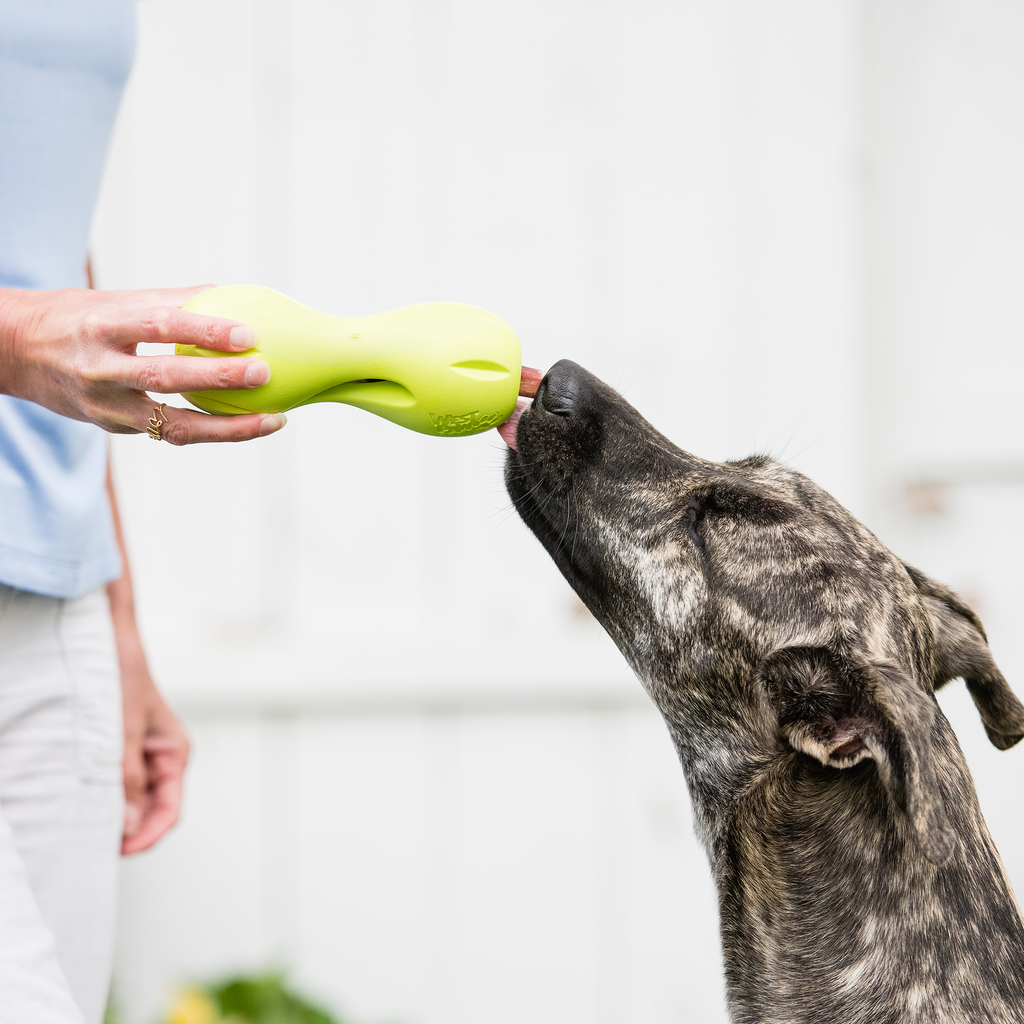 Qwizl Treat Holder Chew Toy for Tough Chewing Dogs