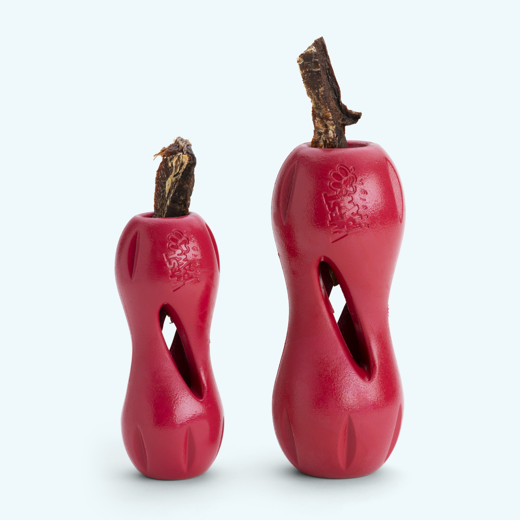 Qwizl Treat Holder Chew Toy for Tough Chewing Dogs