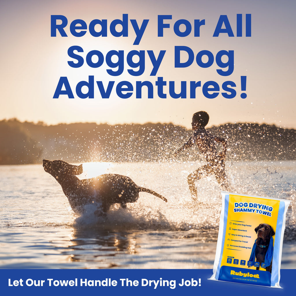 Dog Drying Shammy Towel - Majestic Pet Kingdom