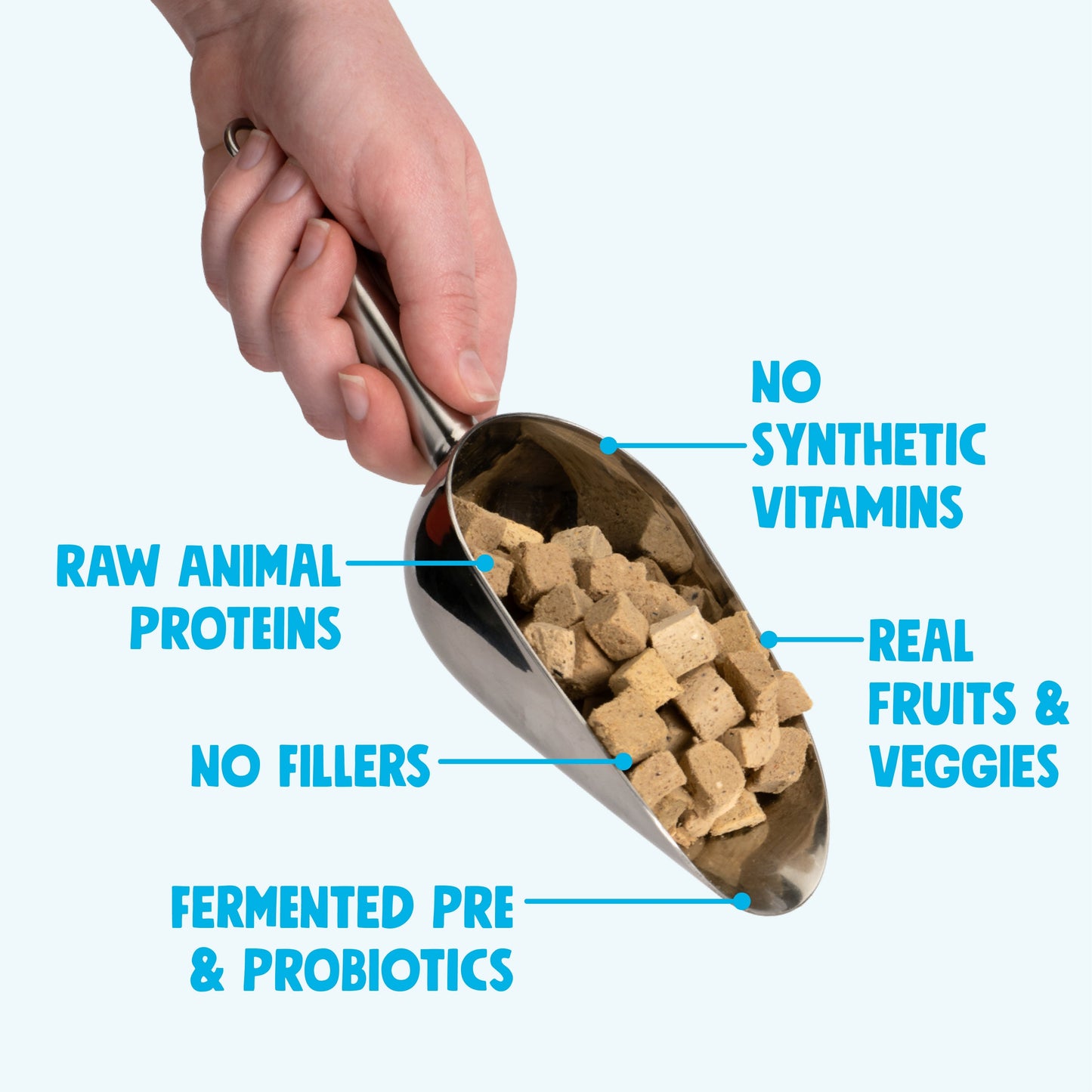 Dog Food Topper Beef Formula Meal Enhancer Protein Booster